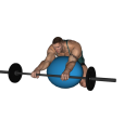 Preacher Curl - Fitness Ball Barbell Reverse